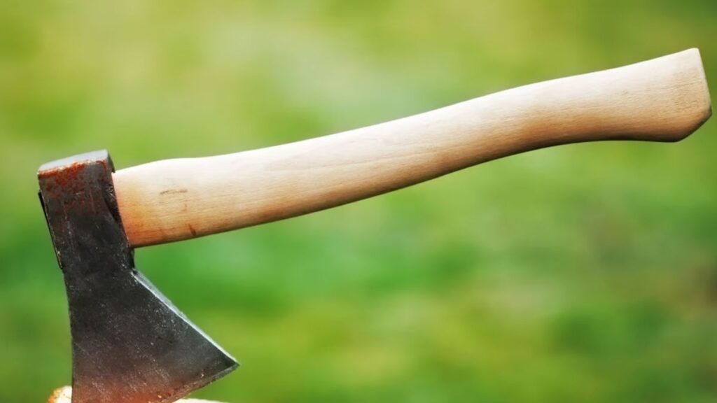 MP: Youth hacks eight family members with an axe then commits suicide