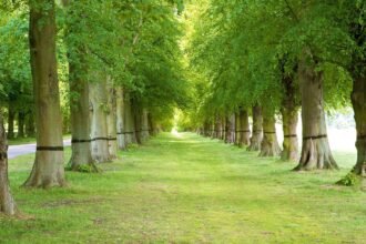 5d6404c350758d128278e6c2 8a905eb0 2f15 4e30 959e 36a1fab920f5 अजय हरिनाथ सिंह