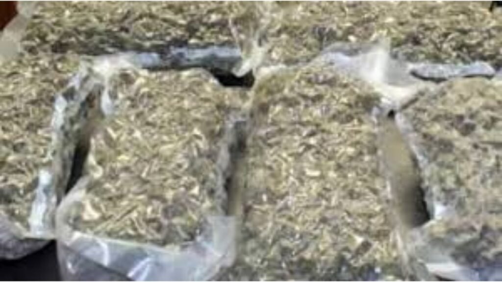 Mathura News: Ganja worth seven and a half lakhs recovered,