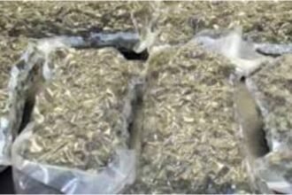 Mathura News: Ganja worth seven and a half lakhs recovered,