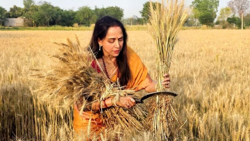 Hema Malini Loksabha Election Result