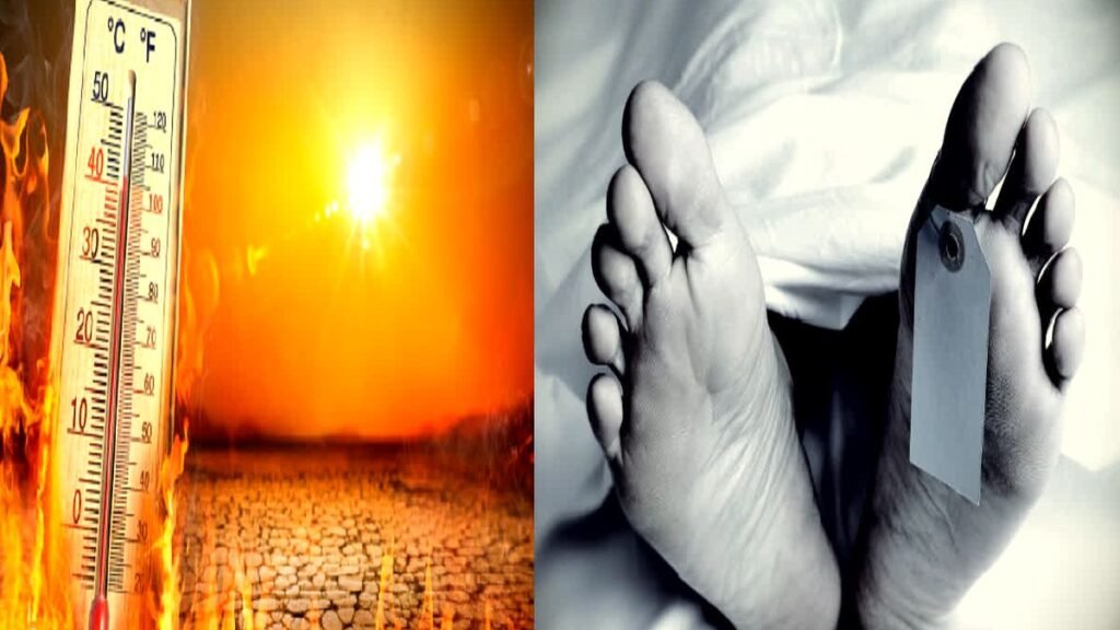 Noida News Today: नोएडा में 24 घंटे में मिले 14 शव, लू और हीट स्ट्रोक से मौत की आशंका 9 _Noida News 14 Noida News Today: