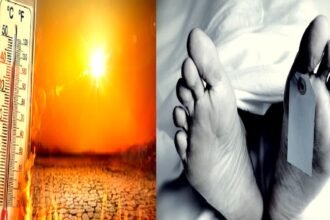 _Noida News 14 Noida News Today: