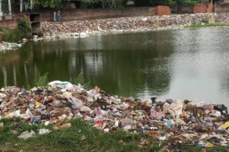 garbage in the pond