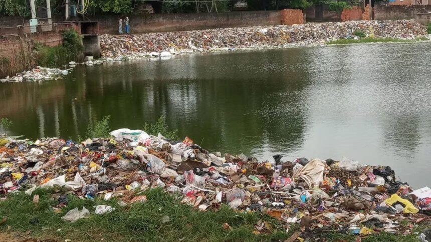 garbage in the pond