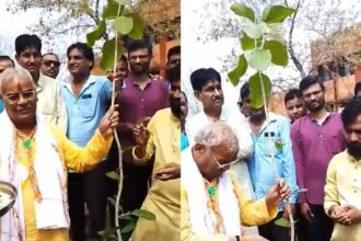 amrit-paryavaran-mahotsav-shiksha-mantri-bargad-paudha