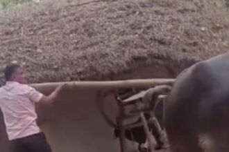 kanpur-attack-on-doctor-ancestral-home