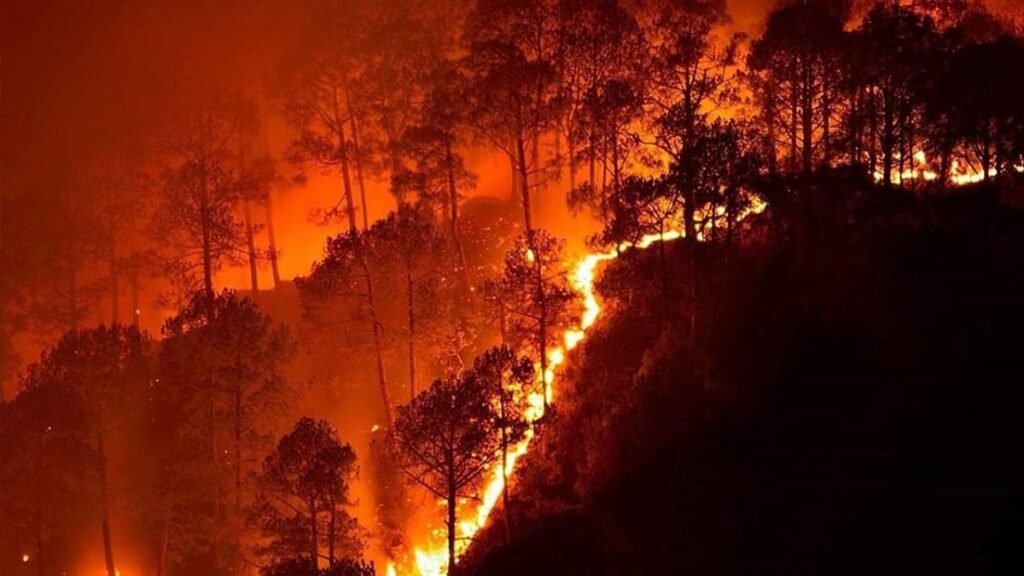 pauri-forest-fire-wedding-hall-burnt