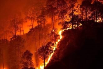 pauri-forest-fire-wedding-hall-burnt