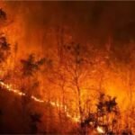 almora-forest-fire-four-forest-department-employees-dead