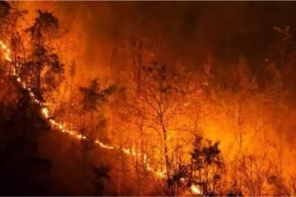 almora-forest-fire-four-forest-department-employees-dead