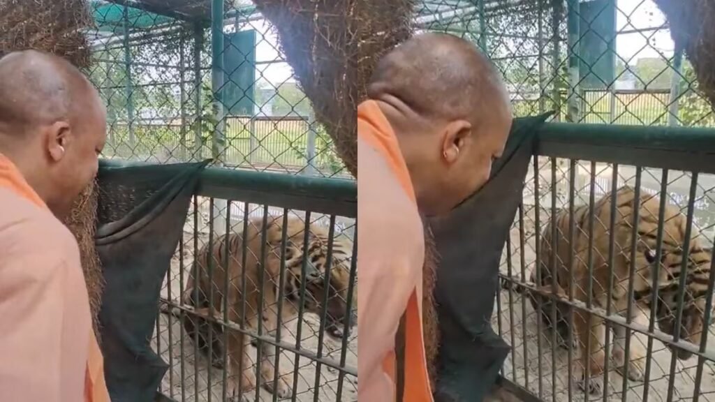 yogi-adityanath-gorakhpur-zoo-lion-pair-entry