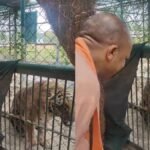 yogi-adityanath-gorakhpur-zoo-lion-pair-entry