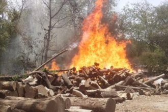 jhansi-wood-fire-brigade-action