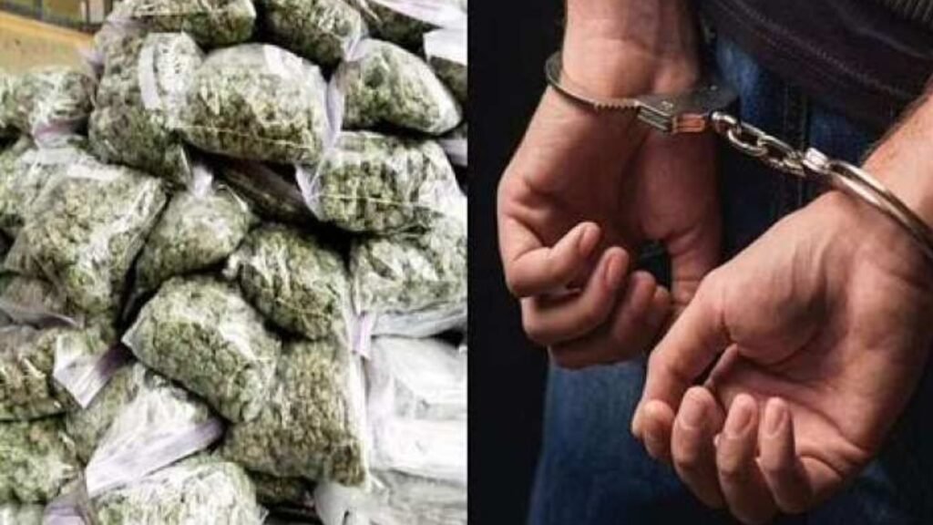 ganja-smuggler-caught-in-baba-disguise-khetrinagar