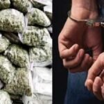 ganja-smuggler-caught-in-baba-disguise-khetrinagar