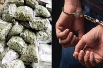 ganja-smuggler-caught-in-baba-disguise-khetrinagar