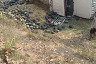 WhatsApp Image 2023 04 18 at 13.37.54 780x470 1 अजय हरिनाथ सिंह