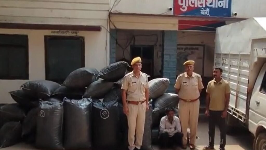 begun-police-badi-karwayi-630-kilo-avaidh-doda-chura-barabad-ek-aaropi-giraftar
