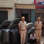 begun-police-badi-karwayi-630-kilo-avaidh-doda-chura-barabad-ek-aaropi-giraftar