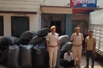 begun-police-badi-karwayi-630-kilo-avaidh-doda-chura-barabad-ek-aaropi-giraftar