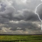 bijapur-lightning-strike-7-cattle-dead