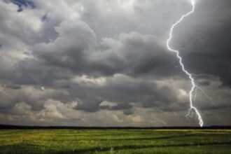 bijapur-lightning-strike-7-cattle-dead