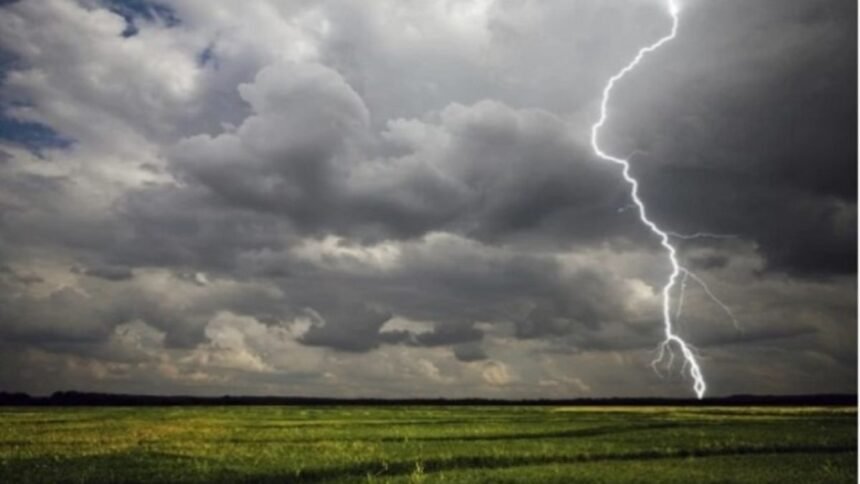 bijapur-lightning-strike-7-cattle-dead