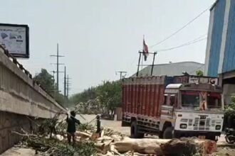 ghaziabad-factory-owner-cuts-tree-environmental-concerns