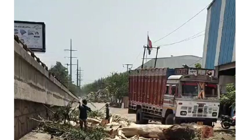 Ghaziabad में फैक्ट्री मालिक ने बड़े पेड़ को काटा, पर्यावरणविदों और स्थानीय लोगों में रोष 1 ghaziabad-factory-owner-cuts-tree-environmental-concerns