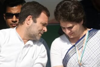 rahul-gandhi-statement-rae-bareli-wayanad-priyanka-campaign-south