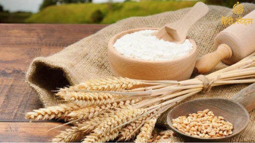 Aligarh में पंचवटी आटा फैक्ट्री में पत्थर का चूरा मिलाने का मामला –