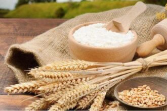 Aligarh में पंचवटी आटा फैक्ट्री में पत्थर का चूरा मिलाने का मामला –