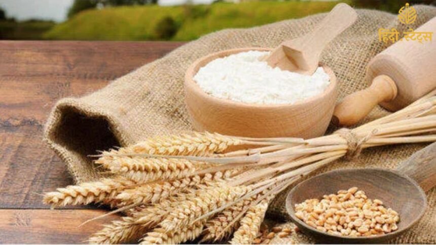 Aligarh में पंचवटी आटा फैक्ट्री में पत्थर का चूरा मिलाने का मामला – FSDA ने रंगे हाथों पकड़ा कर्मचारी 1 Aligarh में पंचवटी आटा फैक्ट्री में पत्थर का चूरा मिलाने का मामला –