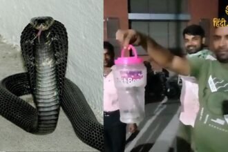 Bihar News: बेतिया में अजीबोगरीब घटना -