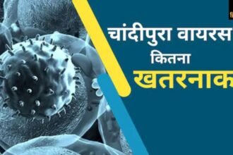 Gujarat में चांदीपुरा वायरस