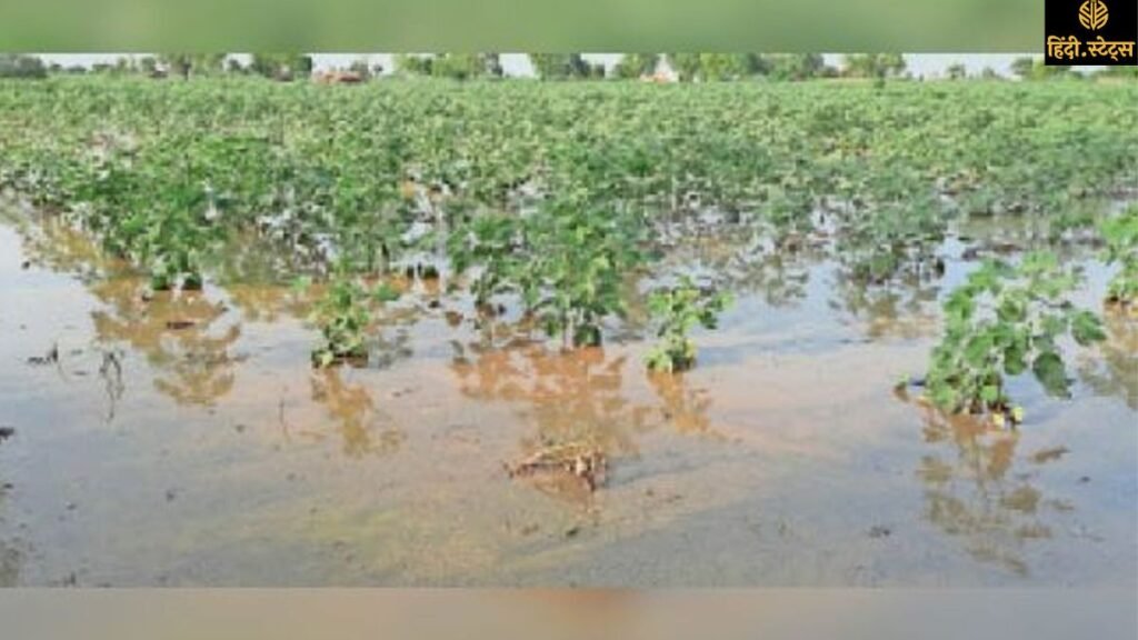 Haryana News करनाल में मानसून की पहली बारिश से गर्मी से राहत, किसानों के लिए वरदान साबित