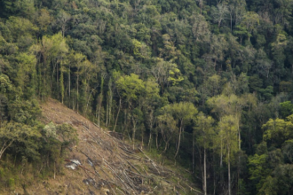 Jangal में बकरियां चरा रहे युवक की ट्रेन की चपेट में आने से मौत, परिजनों में मचा हड़कंप
