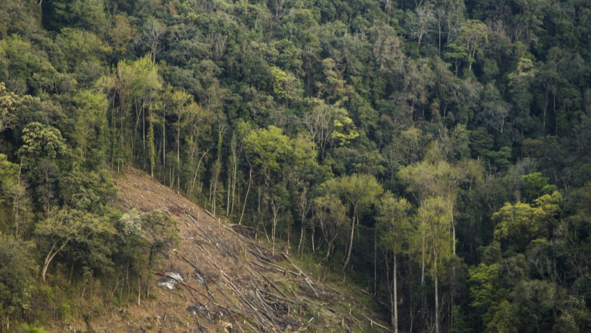 Jangal में बकरियां चरा रहे युवक की ट्रेन की चपेट में आने से मौत, परिजनों में मचा हड़कंप