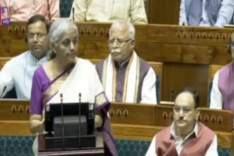 Nirmala-Sitharaman-said-Future-budgets-will-be-based-on-9-priority-areas-of-2024-