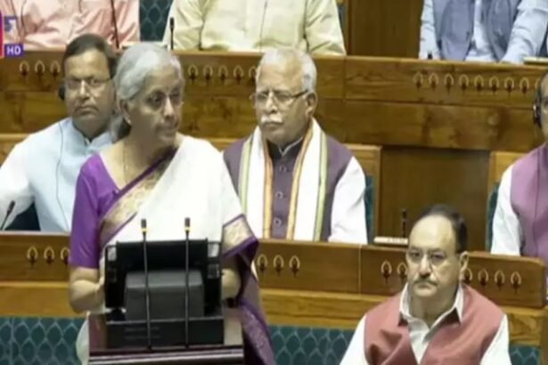 Nirmala-Sitharaman-said-Future-budgets-will-be-based-on-9-priority-areas-of-2024-