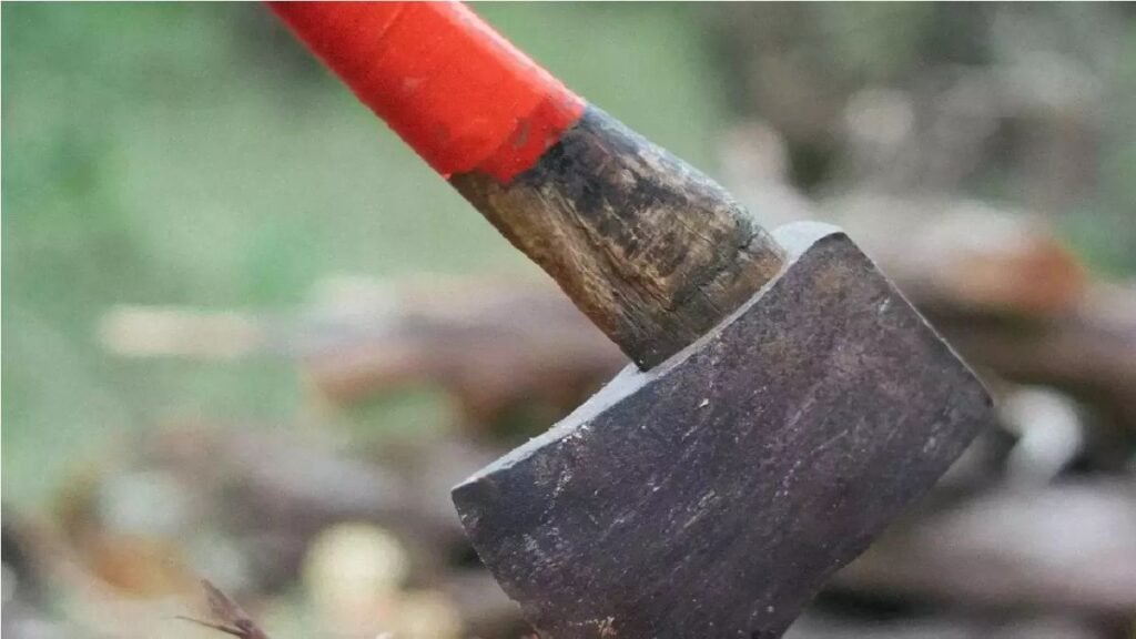 ghazipur-brother-murders-sister