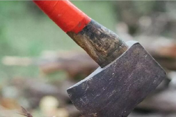 ghazipur-brother-murders-sister