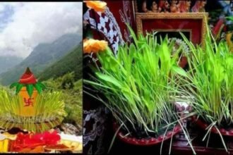 harela-festival-tree-plantation-almora-forest-division