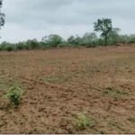 ferozabad-land-fraud-fake-will-sdm-vivek-rajput