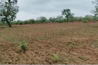 ferozabad-land-fraud-fake-will-sdm-vivek-rajput