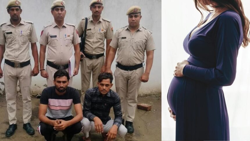 Haryana News: 'Get Women Pregnant and Earn Money...,' Bizarre Job Offer