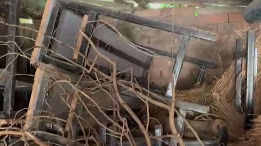 school-education-department-false-claims