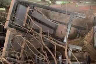 school-education-department-false-claims