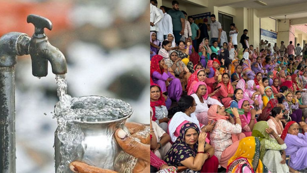 Untitled design (10)